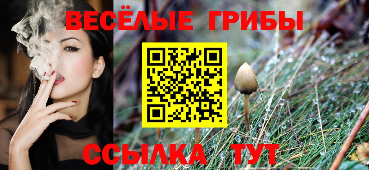 Псилоцибиновые грибы мицелий Лесосибирск